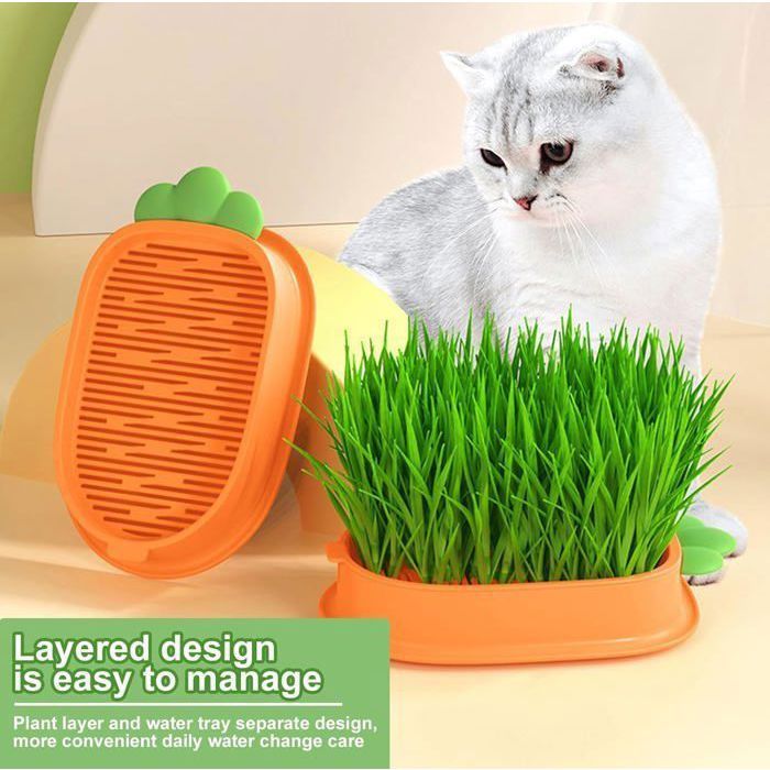 Meilleurs prix pour 2 pcs Boîte à herbe à chat hydroponique avec 10 sacs de semences, plastique confortable pour chat, bac à germes d'herbe à chat pour